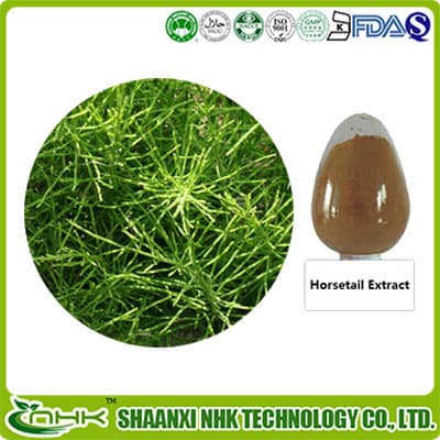Horsetail Extract Silicic acid